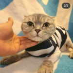 늘 예쁘개