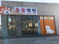 표선동물병원