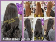 큐사랑 염색전문점 가양점 | 큐사랑염색.식사점