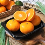 과일의숲 명지점