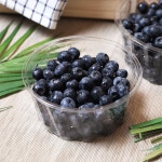 과일의숲 명지점