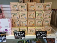 틸다그린 부산기장점