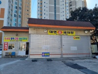 대영손세차장