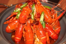 일품양꼬치