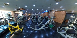 웰리스휘트니스