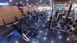 웰리스휘트니스