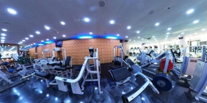 웰리스휘트니스