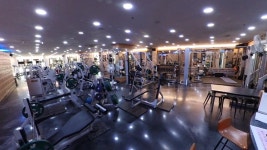 웰리스휘트니스