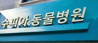 수피아동물병원