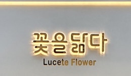 꽃을닮다루체테플라워