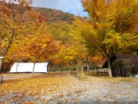 횡성산울림오토캠핑장