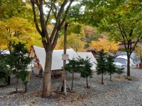 횡성산울림오토캠핑장