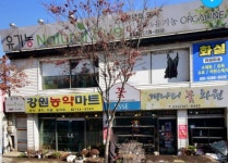 개나리꽃화원