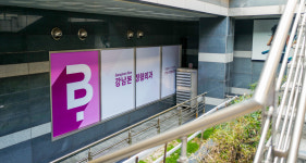 강남본정형외과의원