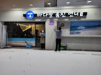 바다를훔친언니