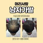 머리사랑