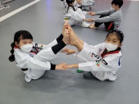 용인대 크는나무 태권도장