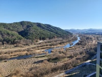 갑천3블럭트리풀백억공인중개사사무소