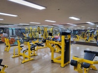 헤라휘트니스