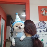 늘조은동물병원