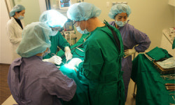 에피파니치과의원