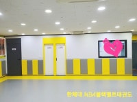 한체대MBA블랙벨트태권도