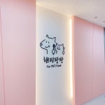 해피팡팡