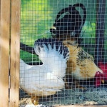 물사랑교육농장