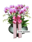 화기애애 플라워&플랜트