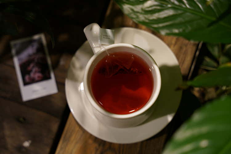 Hibiscus