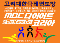 고려대한국태권도장