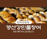 영산강민물장어