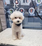헤어컹컹