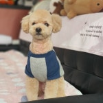 예쁘개해줄개