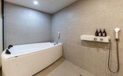 브라운도트 호텔 정관점