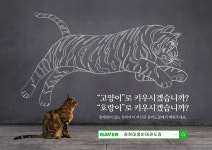 경희대 웅비태권도