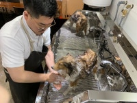 펫바스로 동탄본점