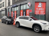 티엘모터스