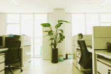 컴퍼니제이에스