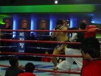 선후합기도 MMA 킥복싱