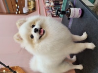 릴리줄리살롱