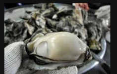 돼지집
