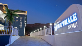 펜션블루웨일