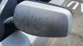 익스프레스카워시