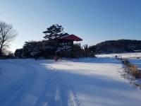 참신한우정육식당