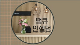 땡큐 인셀덤