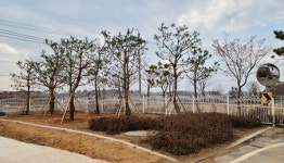 청안조경