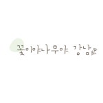 꽃이야나무야 강남