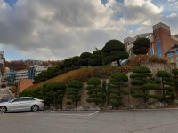 청안조경