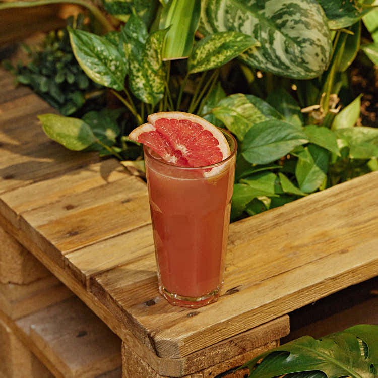 Grapefruits Ade